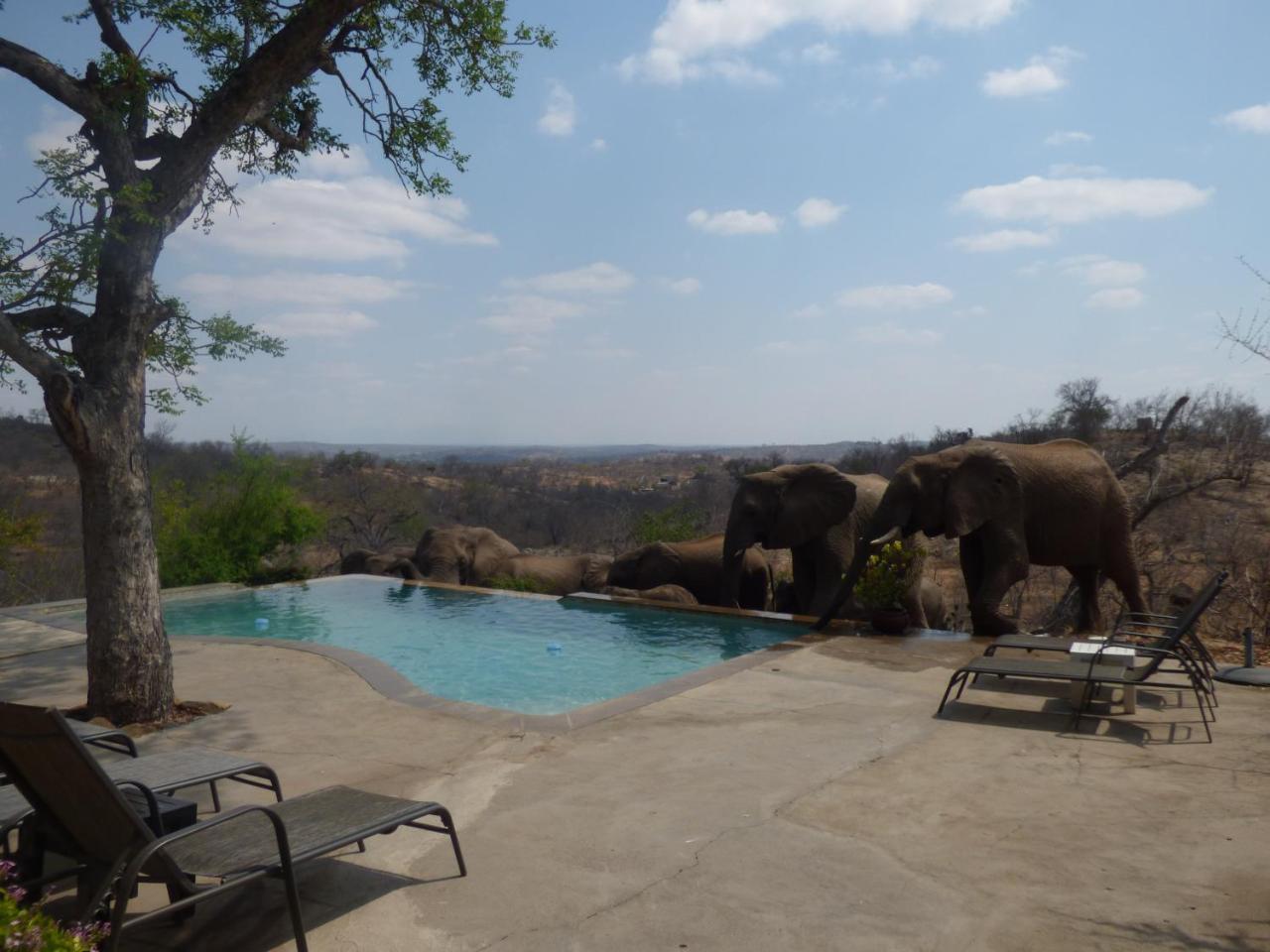 Mbizi Bush Lodge Grietjie Game Reserve Экстерьер фото